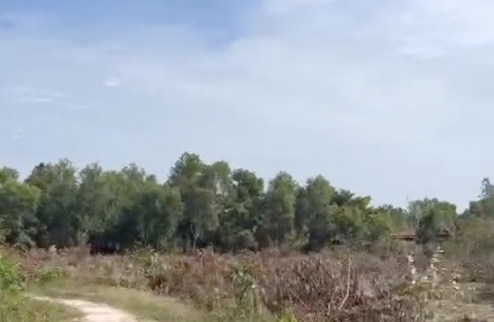 CHÍNH CHỦ GỬI BÁN ĐẤT VƯỜN HÀM NINH – PHÚ QUỐC